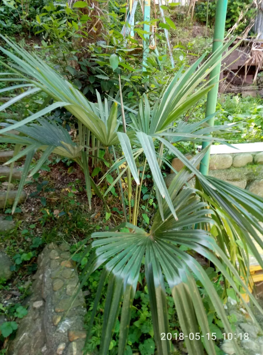 Таунхаус на Кольцевой