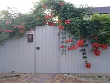 Гостиница "Орлинка" Гостиница "Орлинка"