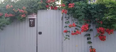 Гостиница "Орлинка"