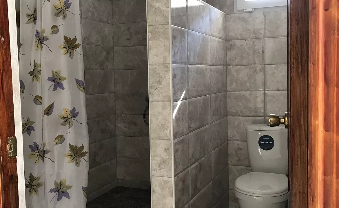 Люкс №2 двухместный. Гостевой дом "Оазис". Сухум