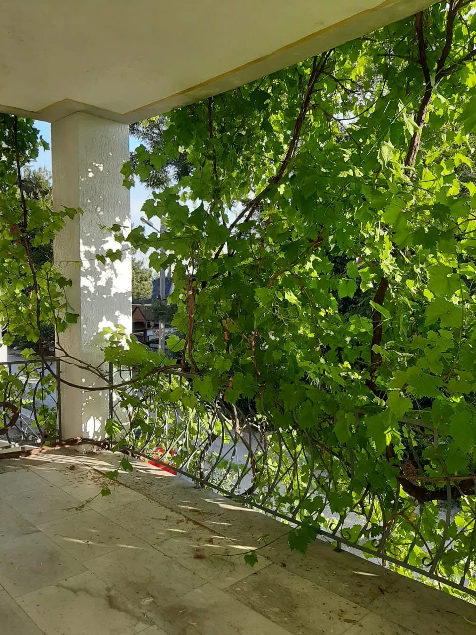 . Гостевой дом У Марты. Геленджик