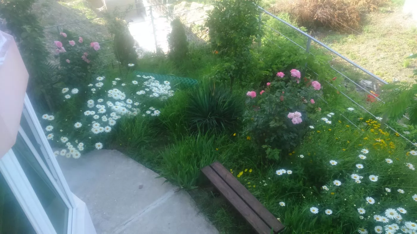 . Гостевой дом Дельфин - Новомихайловский. Новомихайловский