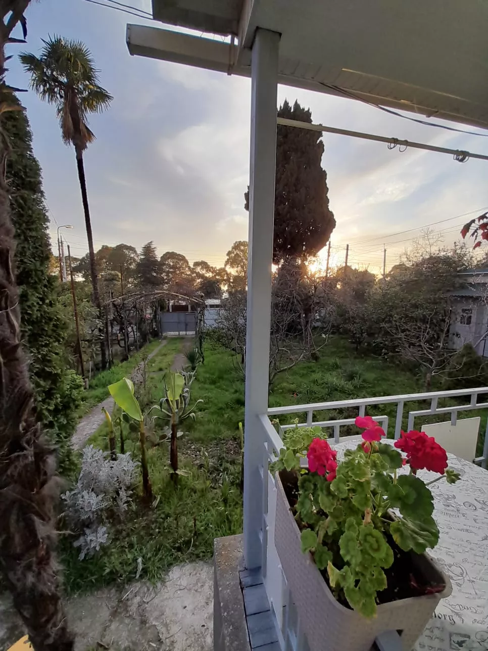 . Частный сектор Зеленый дворик - Гагра. Гагра