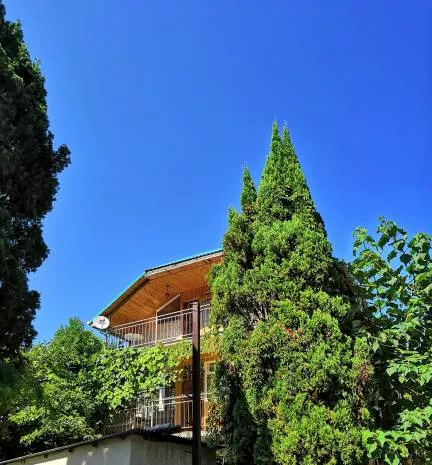 . Гостевой дом «Светлана». Совет-Квадже