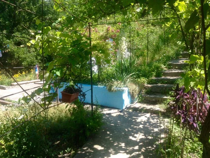 . Частный сектор Строителей 6/2 в п. Пионерный. Сукко