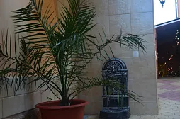 Гостиница "СемьЯ" Гостиница "СемьЯ"