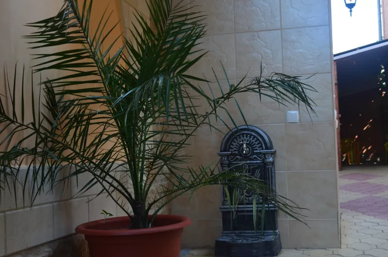 . Гостиница "СемьЯ". Лазаревское . Гостиница "СемьЯ". Лазаревское