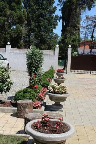 . Отель "Кипарис". Пицунда