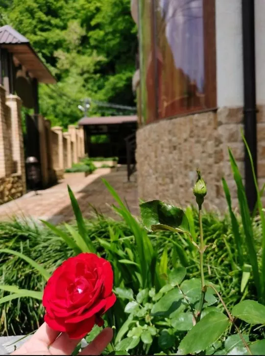 . Отель Отель Green Hall. Красная Поляна