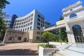 . Санаторий Мыс Видный. Хоста