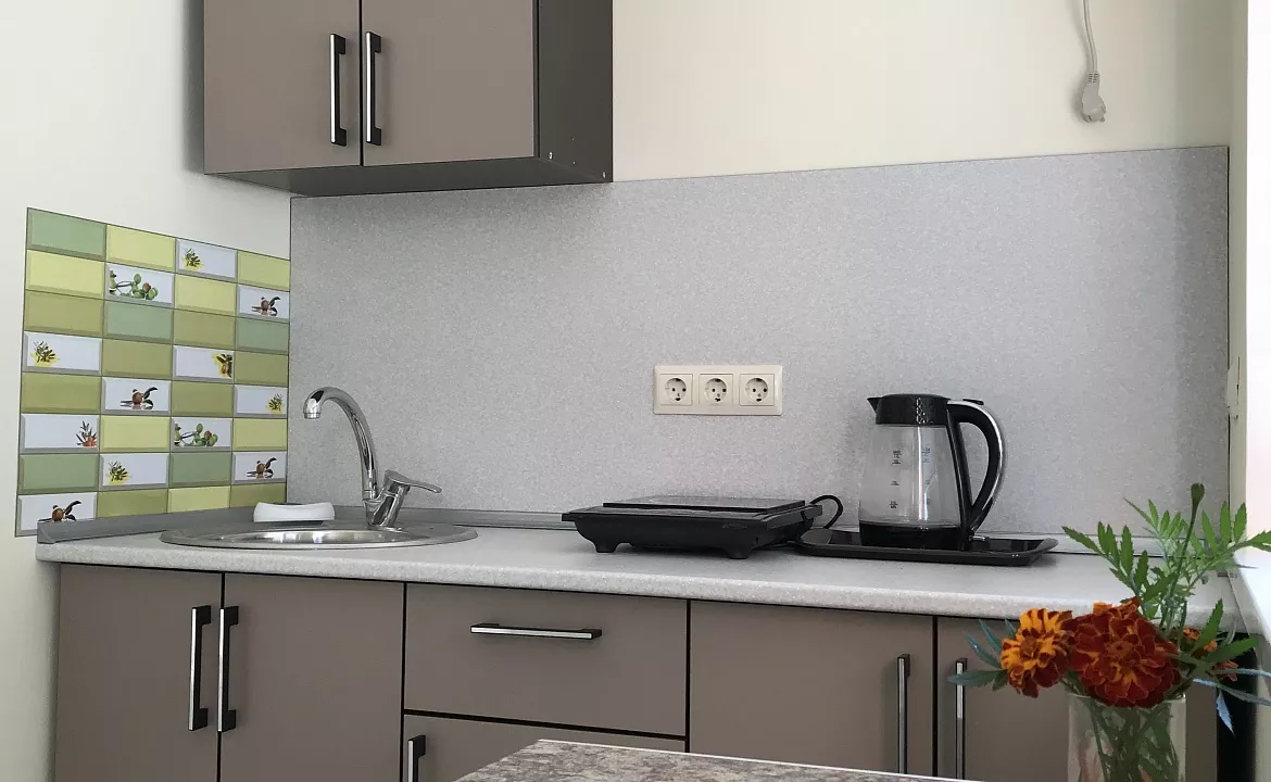 Люкс №2 двухместный. Гостевой дом "Оазис". Сухум