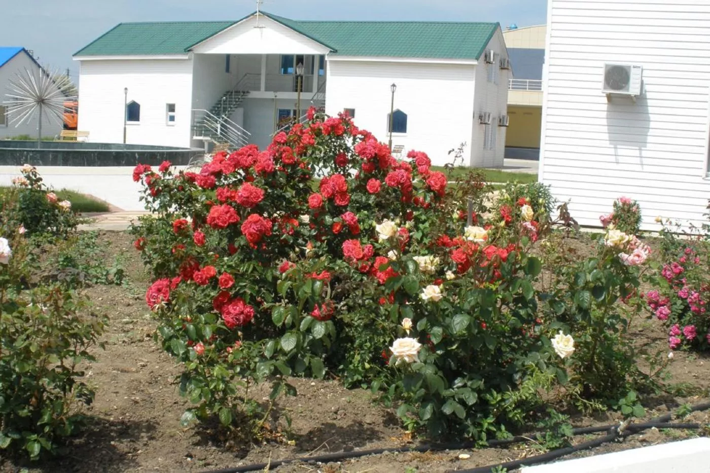 . Пансионат Малахит - Благовещенская. Благовещенская