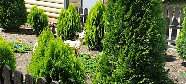 Гостевой дом У Татьяны