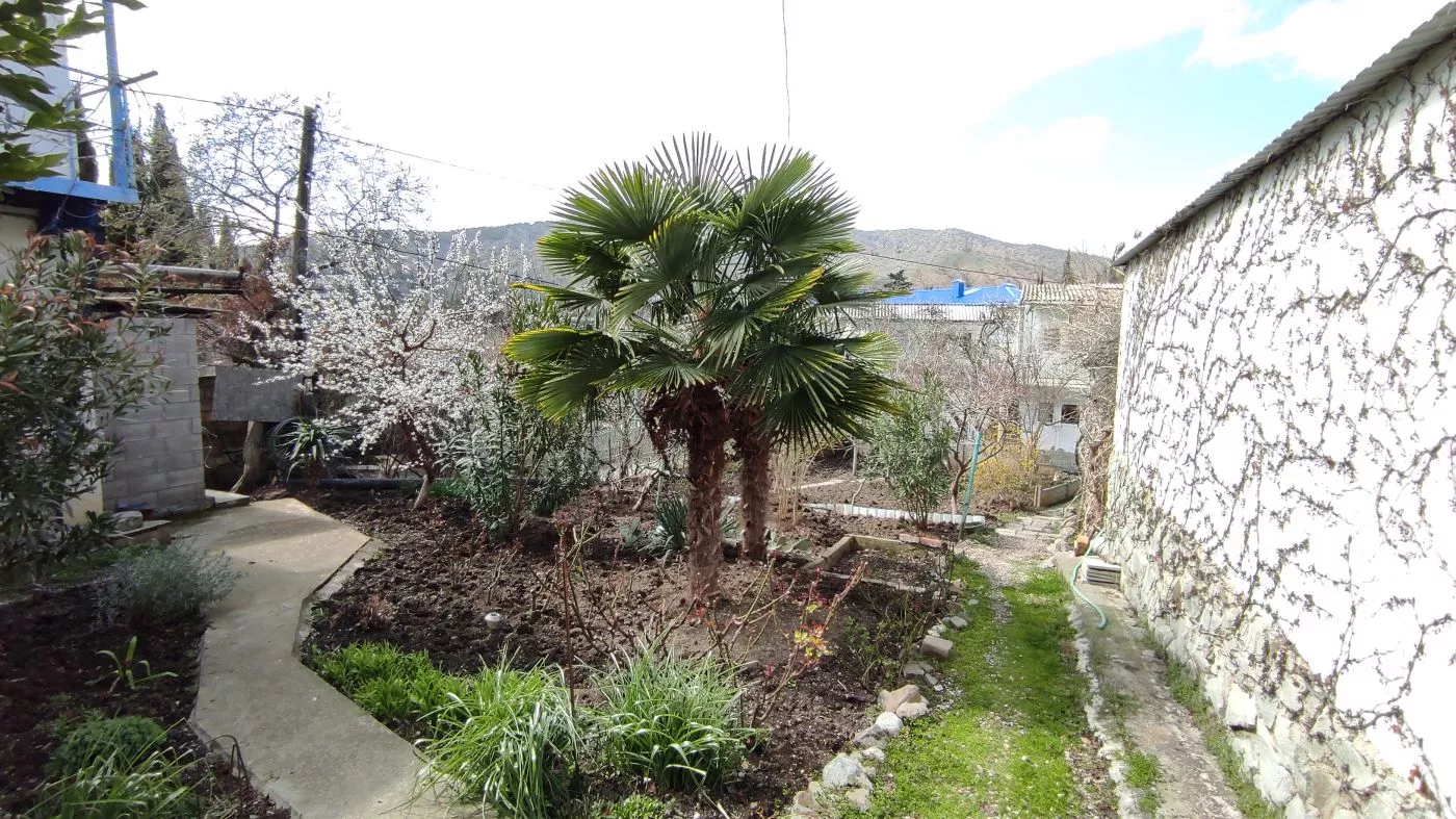 . Гостевой дом Green Patio. Рыбачье