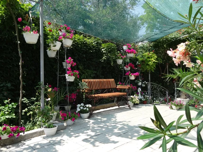 . Гостевой дом "Жемчужина". Симферополь