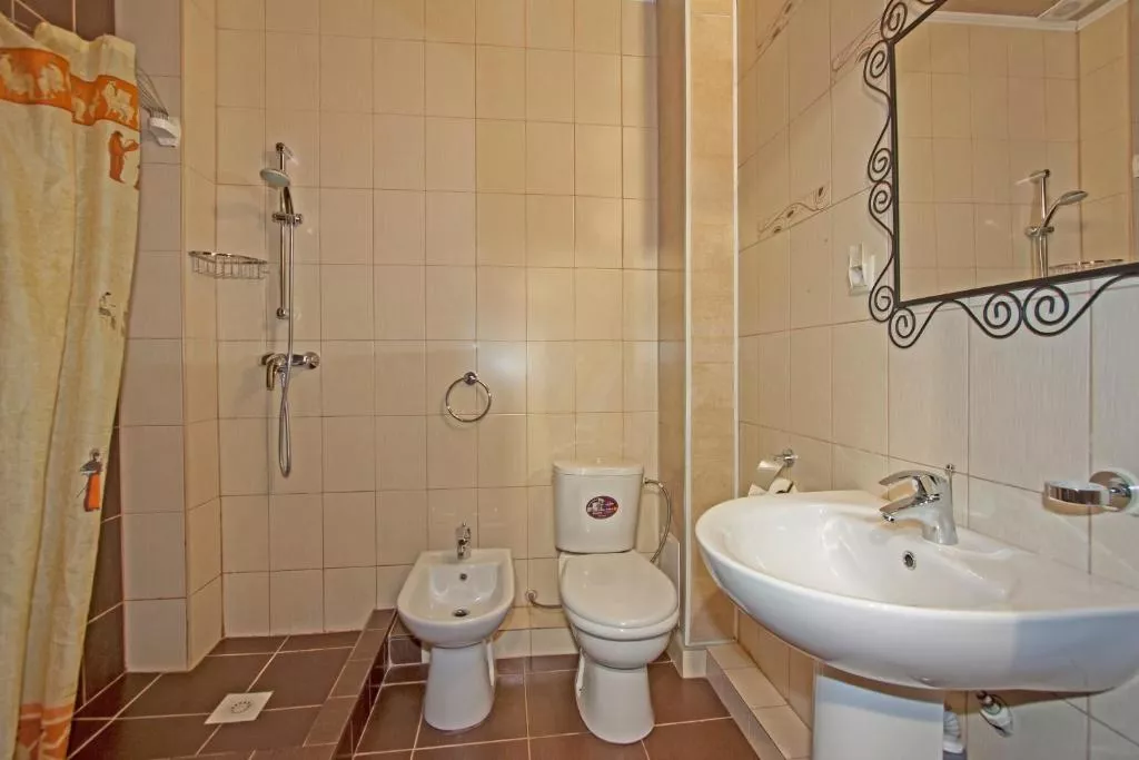 2-х местный полулюкс видом на бассейн (с балконом). Отель "Феличи". Витязево 2-х местный полулюкс видом на бассейн (с балконом). Отель "Феличи". Витязево