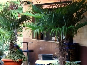 . Гостиница «Аллигатор». Кореиз