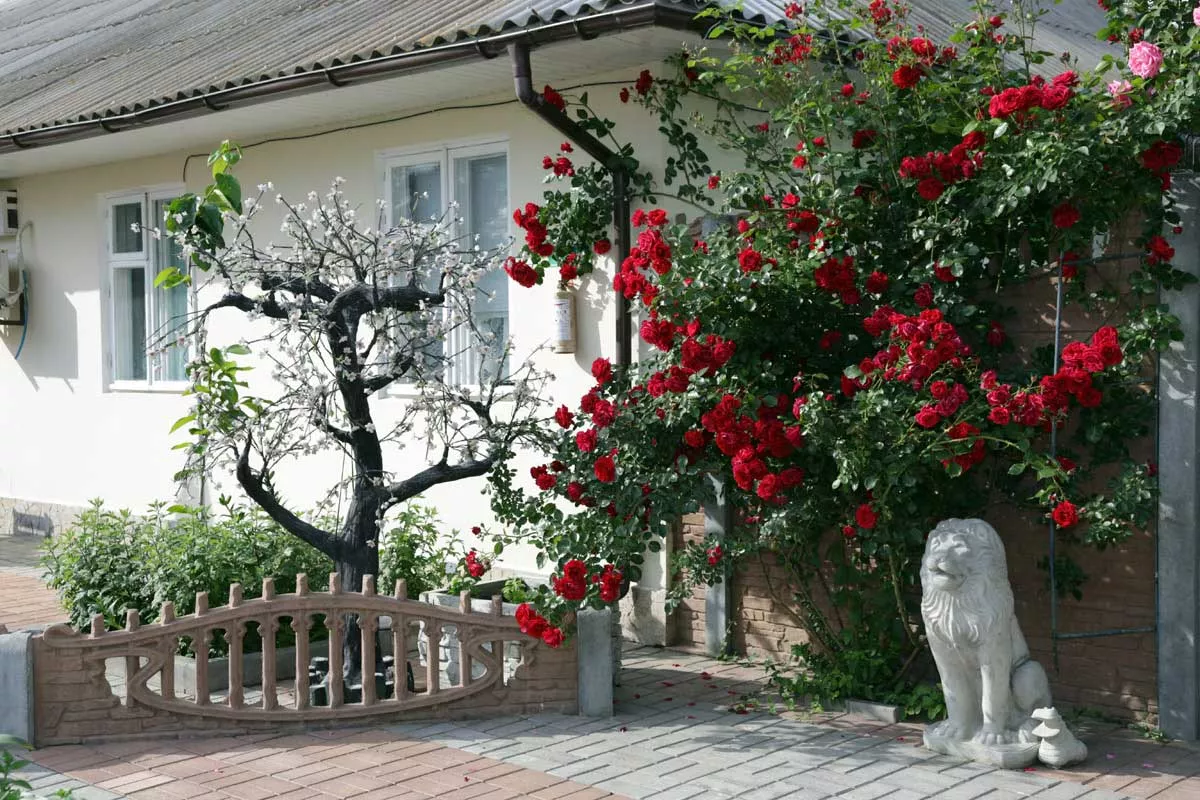 . База отдыха "Альтернатива". Береговое