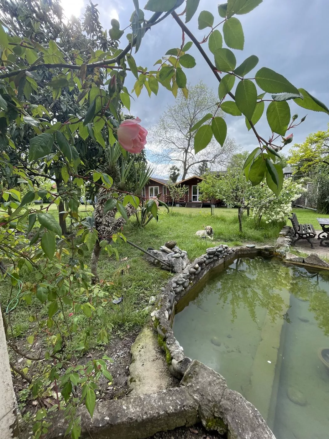 . Коттедж Морской Бриз. Сухум