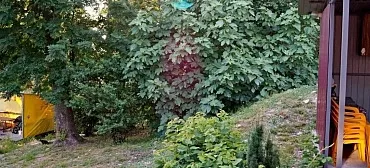 Частный сектор Репина