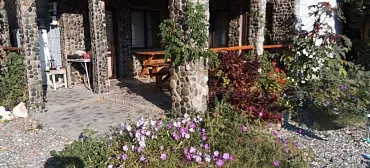 Гостевой дом Лотос  Гостевой дом Лотос