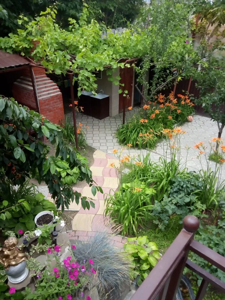 . Гостевой дом "Алина" - Голубицкая. Голубицкая