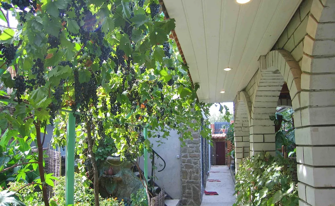 1 мест. номер – «Джаз». Гостевой дом "Триера". Судак