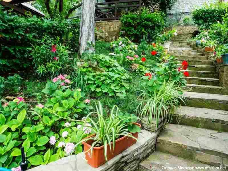 . Отель Вилла Сосновый бор. Гаспра