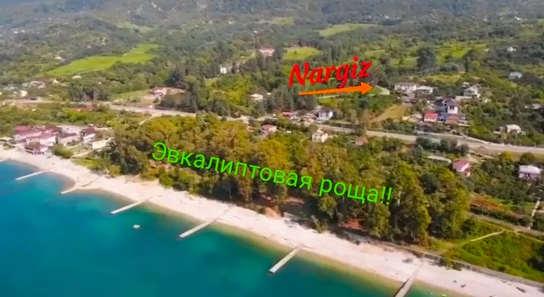 . Гостиница Nargiz. Новый Афон