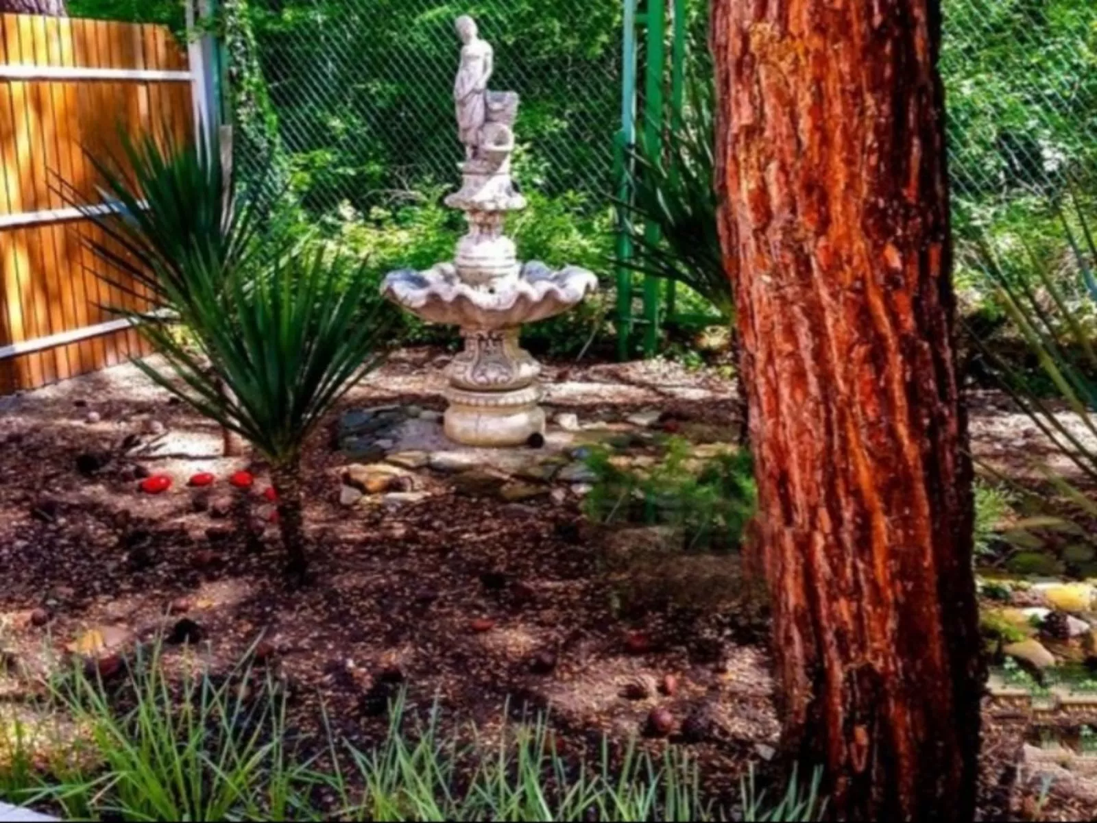 . Гостевой дом Среди пицундских сосен. Геленджик