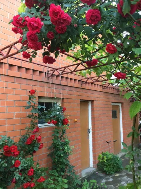 . Гостевой дом Гоголя 51. Анапа