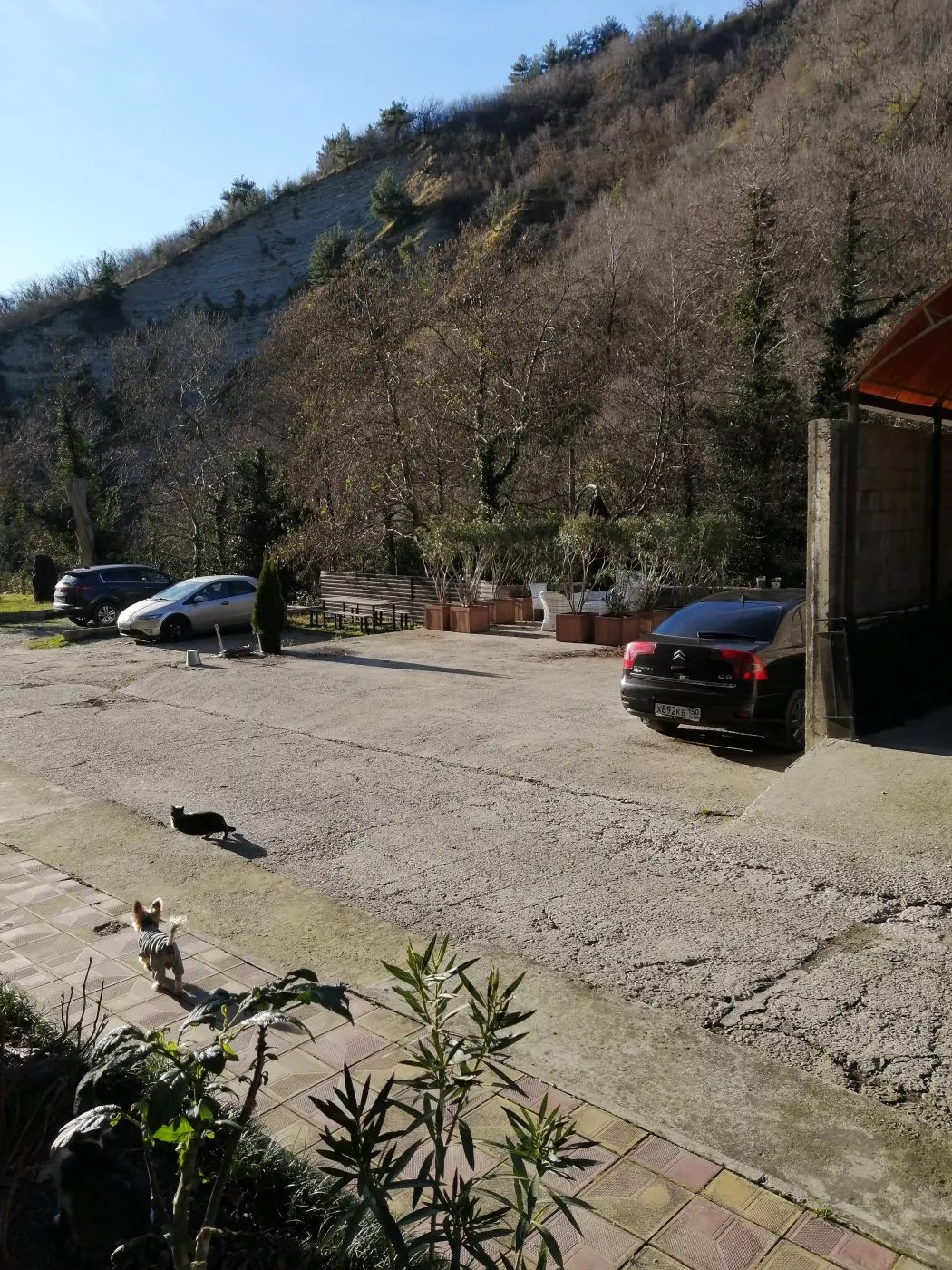 . Гостевой дом "РОМАНТИКА". Лазаревское