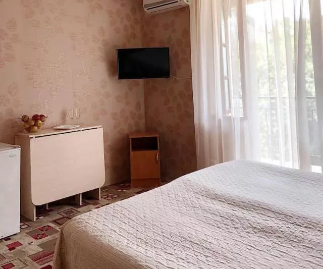 . Гостевой дом "Элина" . Адлер