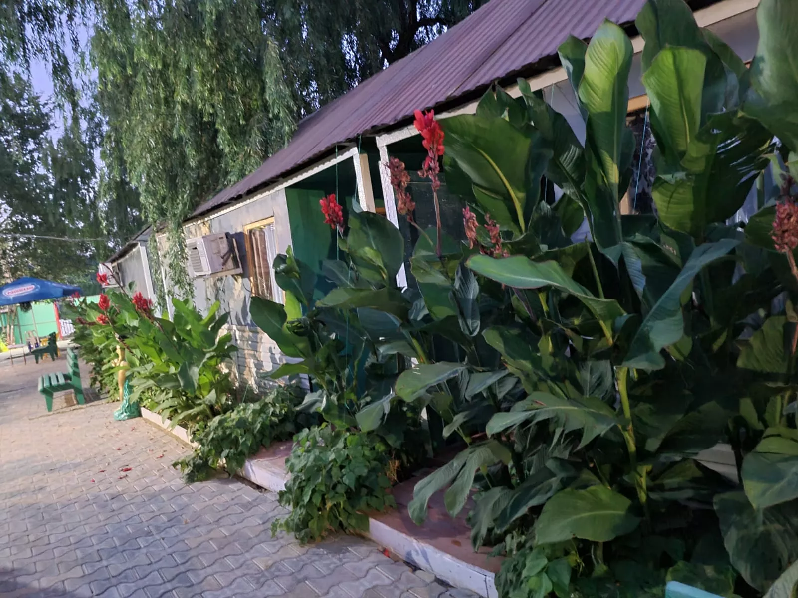 . База отдыха "ГОРИЗОНТ". Анапа