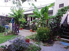 Гостевой дом "Райский сад" Гостевой дом "Райский сад"