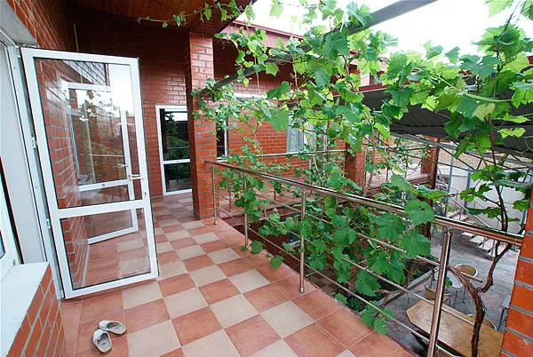 . Гостевой дом Альбатрос - Геленджик. Геленджик