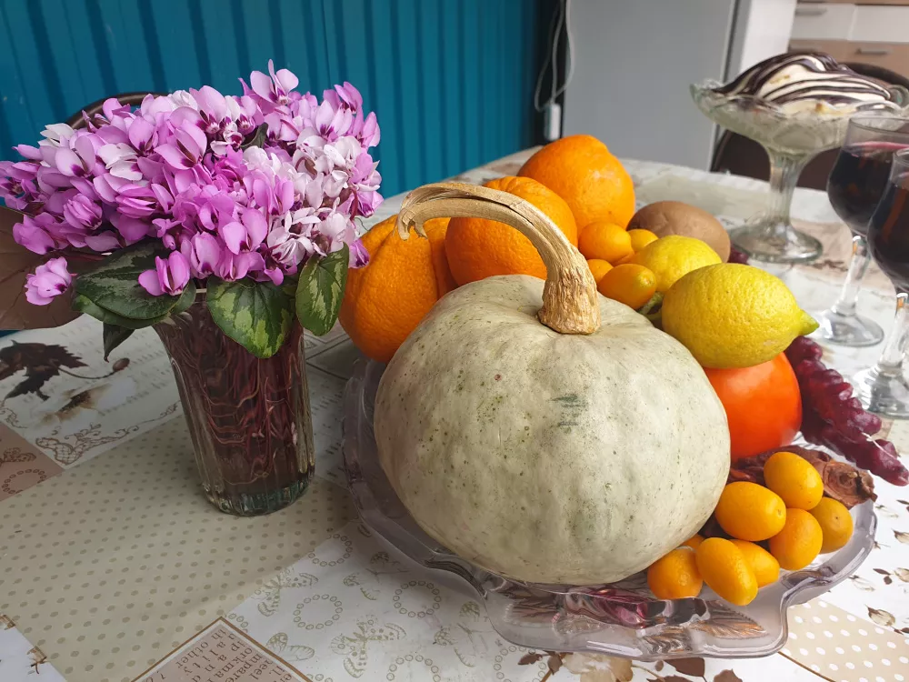 . Дом под ключ FIESTA SEA. Гагра