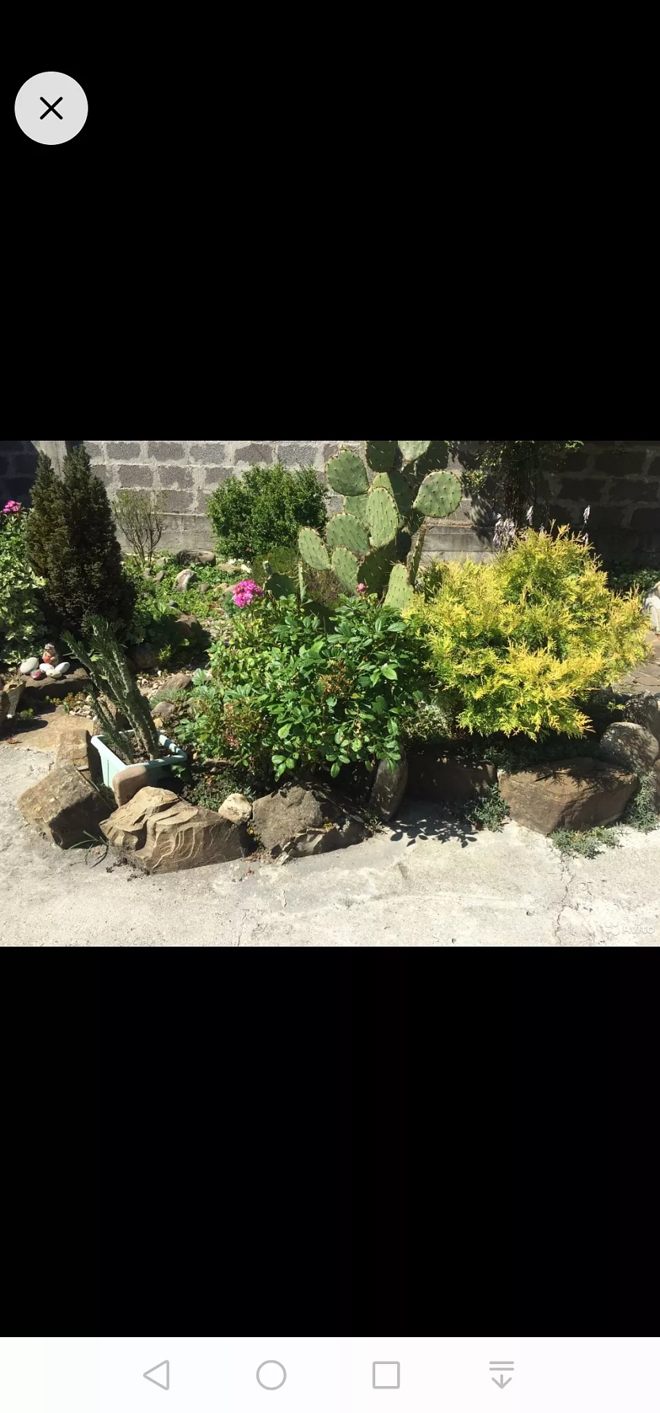 . Дом под ключ Tamazi Dzadzamia. Вардане