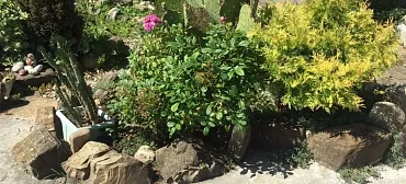 Дом под ключ Tamazi Dzadzamia