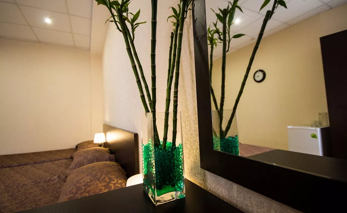 Стандарт 3-местный. Отель Робинзон. Анапа