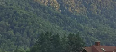 Апарт-отель "Благодарный круглый год"