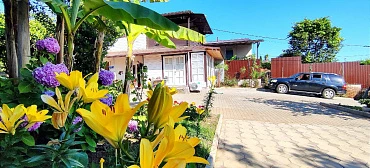 Гостевой дом "Цитрус"