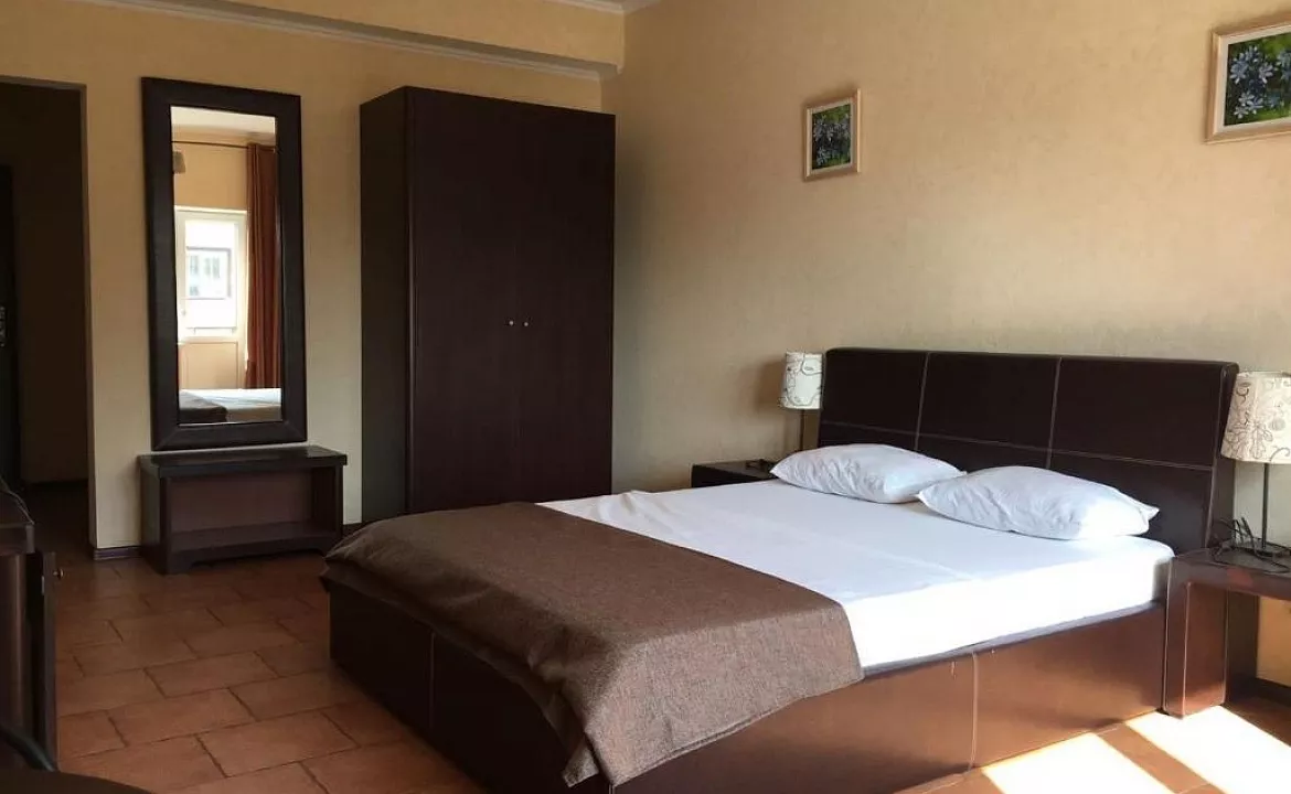 2-х местный полулюкс видом на бассейн (с балконом). Отель "Феличи". Витязево 2-х местный полулюкс видом на бассейн (с балконом). Отель "Феличи". Витязево