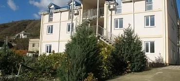 Отель «Efsane»