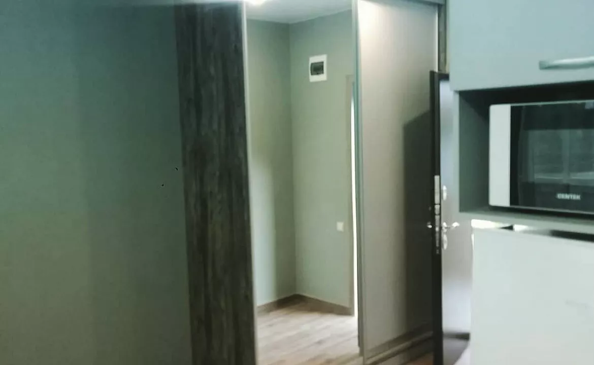 Апартаменты с индивидуальной кухней. Гостевой дом Светлана на Алычевом. Лоо Апартаменты с индивидуальной кухней. Гостевой дом Светлана на Алычевом. Лоо