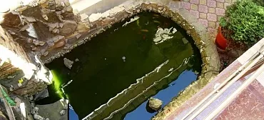 Гостевой дом "Магнолия" 