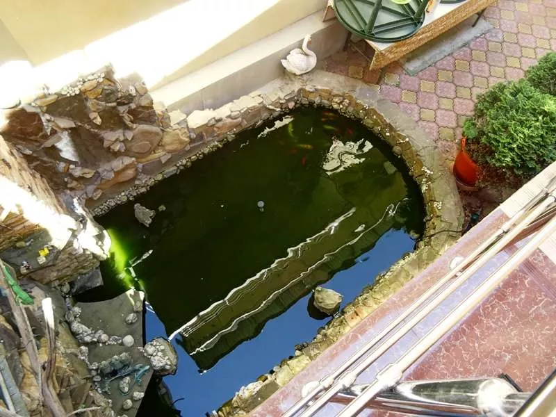 . Гостевой дом "Магнолия" . Адлер