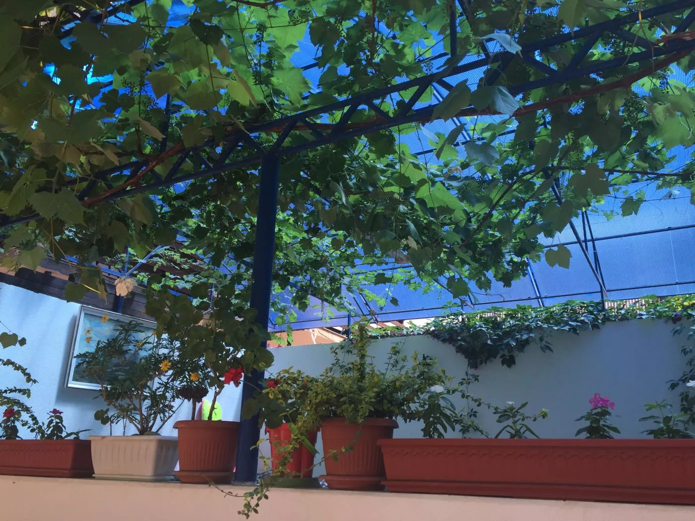 . Гостевой дом на Комарова 17. Витязево