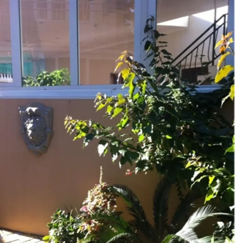 . Гостевой дом "АТикА". Адлер