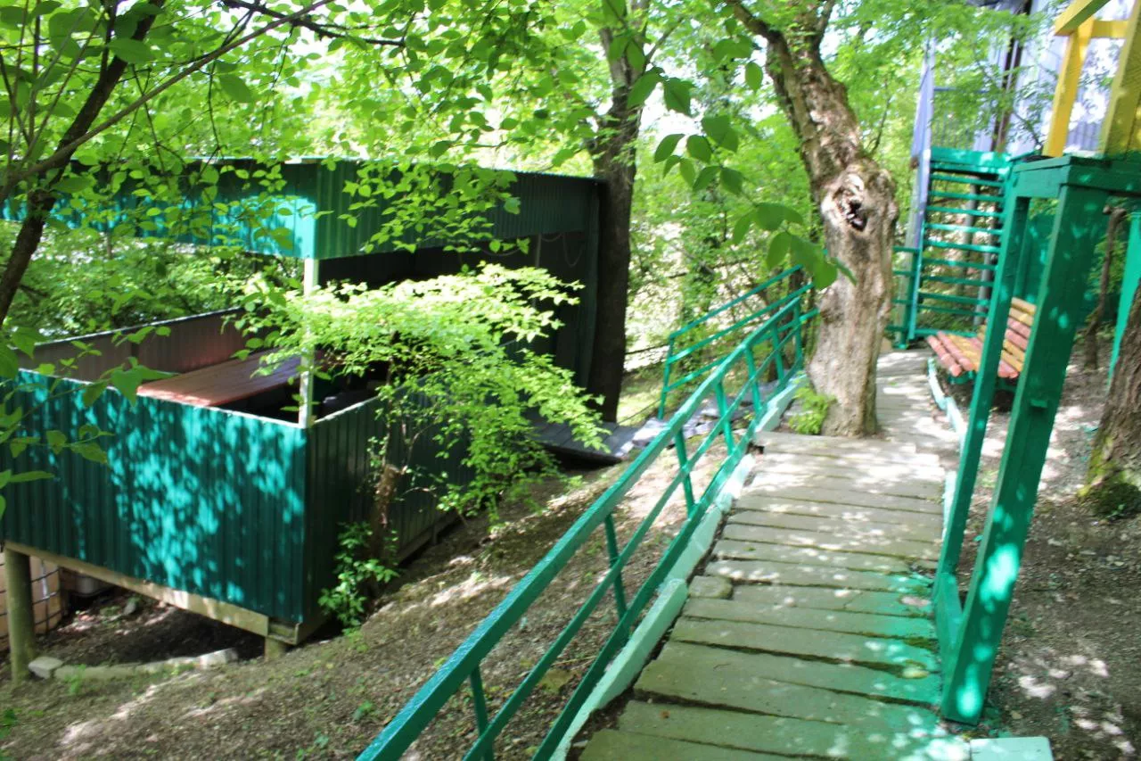 . База отдыха Усадьба в лесу. Архипо-Осиповка